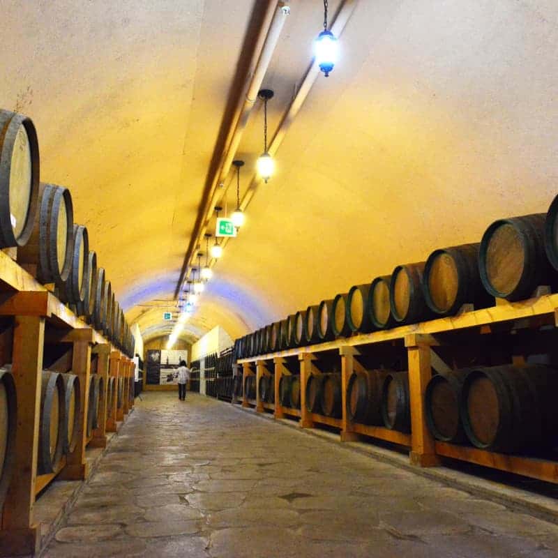 [함양] 하미앙, 와인돈까스+와인족욕+폼클렌징체험