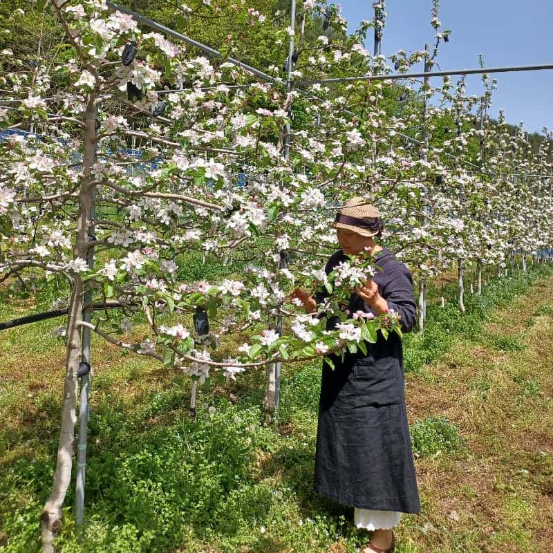 [무주/1박] 꽃피는 산골농원 ㅣ 고추장체험+훈연바베큐+프라이빗독채 🌺🍖 사진 4