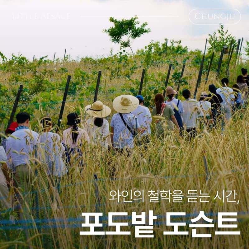 [충주] 인생도 와인도 내추럴하게, 작은알자스 와이너리 사진 3