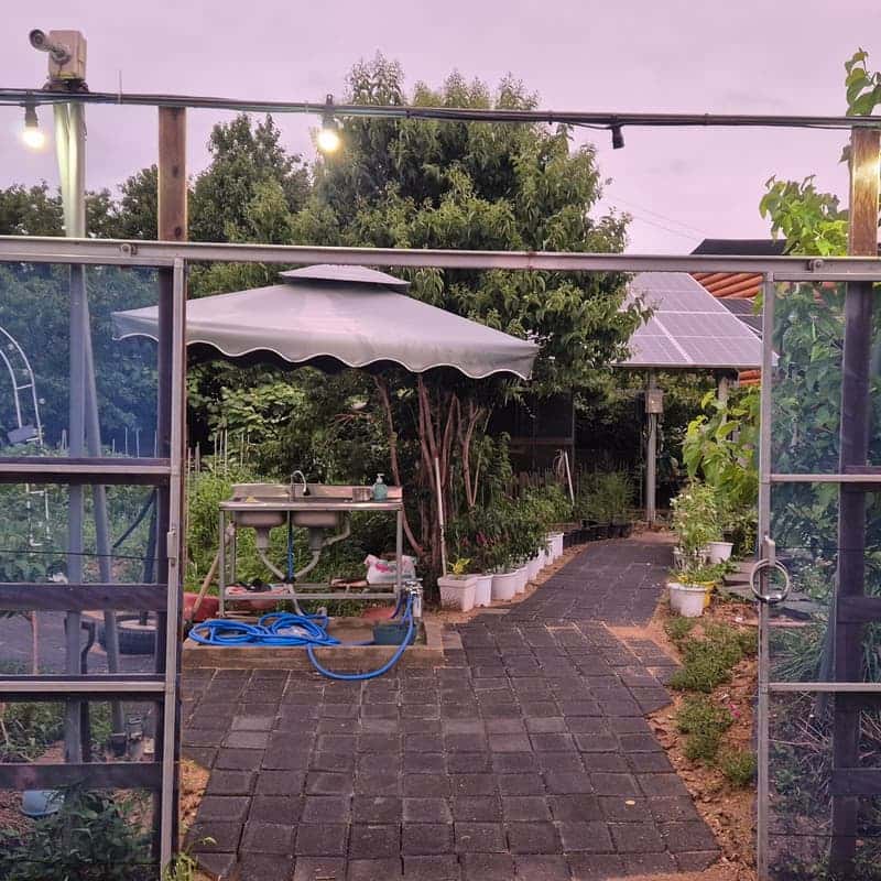 [평택/당일]프라이빗 체리정원, 바베큐 파티 사진 4