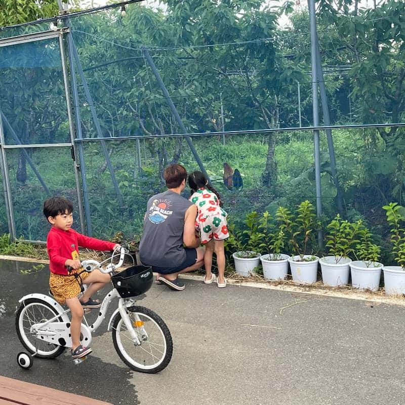 [평택/당일]프라이빗 체리정원, 바베큐 파티 사진 5