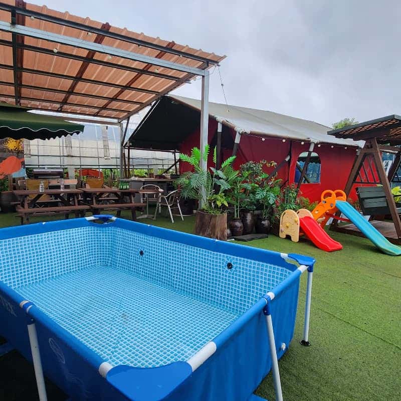 [평택/당일]프라이빗 체리정원, 바베큐 파티 사진 6