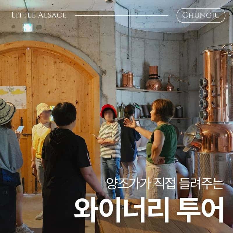 [충주] 인생도 와인도 내추럴하게, 작은알자스 와이너리 사진 5