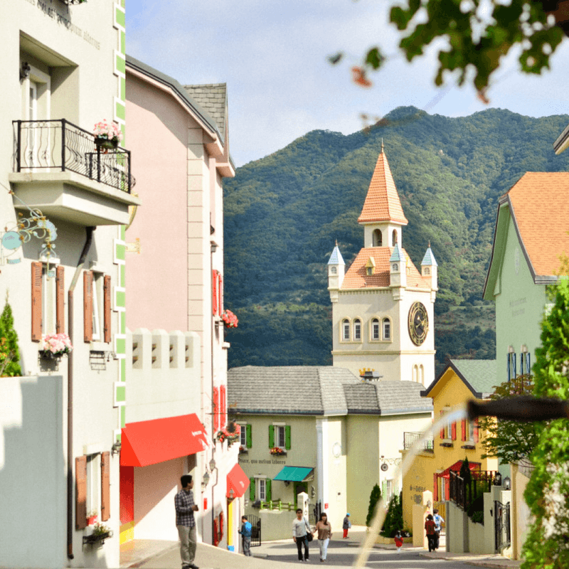 [가평,파주/당일] 가평 양떼목장+에델바이스 스위스파크+콩치노 콩크리트 (아트투어 B코스) 사진 4