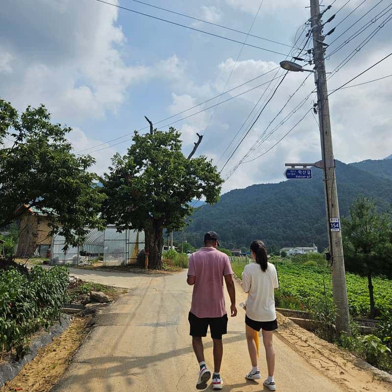 [영월/숙박] 책과 차, 느린 산책으로 쉬어가는 산골 스테이 '삼돌이로 살아보기' 🍵📗 사진 3