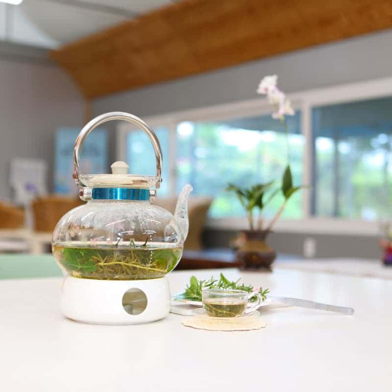 [익산/당일] 플로리움 허브디톡스 테라피 - 식물원 카페 체험 🫖🍃 사진 5