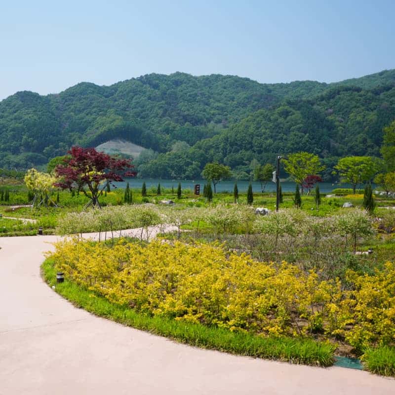 [충주] 충주 파크골프 & 힐링스테이 사진 4