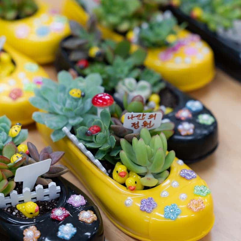 [아산/당일] 아휴~ 숨 쉬다   (들숨 날숨으로 괜찮은 하루) 사진 7