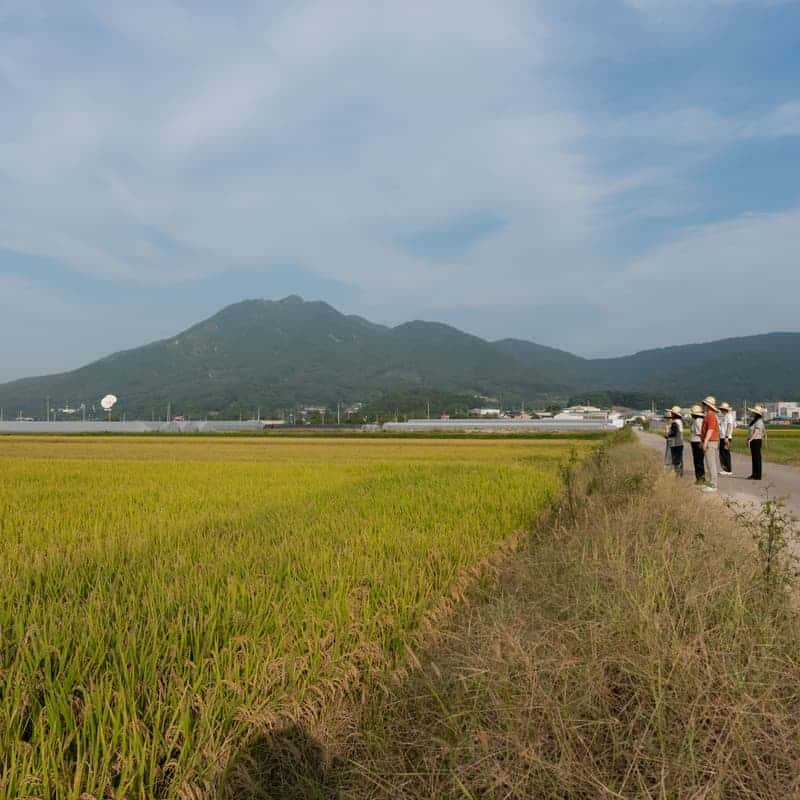 [아산/당일] 아휴~ 숨 쉬다   (들숨 날숨으로 괜찮은 하루) 사진 8