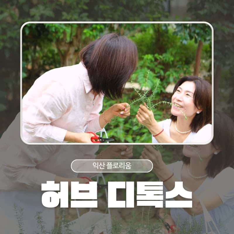 [익산/당일] 플로리움 허브디톡스 테라피 - 식물원 카페 체험 🫖🍃