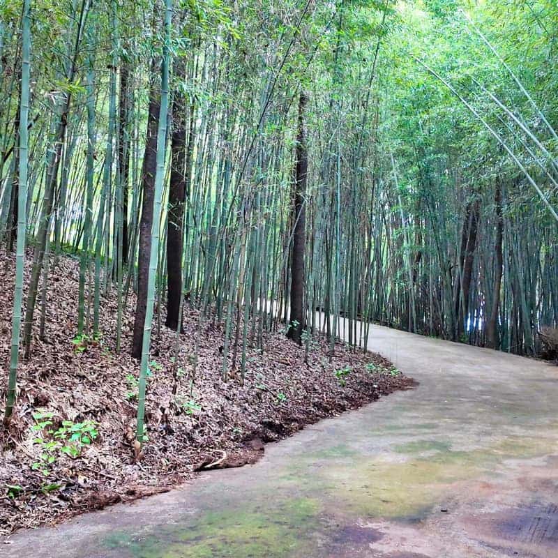 [익산/당일] 봄과로라 치유농장 - 오감 팜크닉 🧺🌿 사진 6