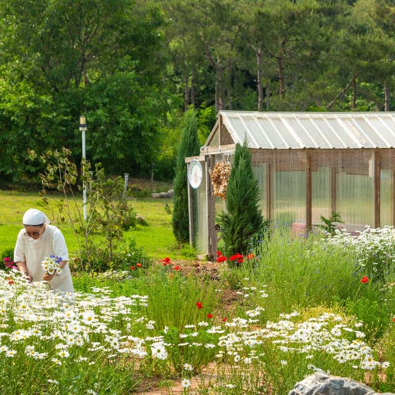 [익산/당일] 봄과로라 치유농장 - 오감 팜크닉 🧺🌿 사진 7