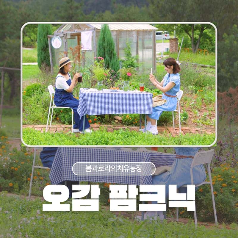 [익산/당일] 봄과로라 치유농장 - 오감 팜크닉 🧺🌿