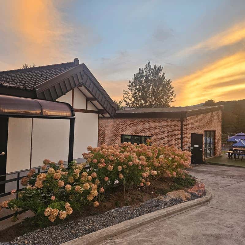 [영월/숙박] 책과 차, 느린 산책으로 쉬어가는 산골 스테이 '삼돌이로 살아보기' 🍵📗 사진 8