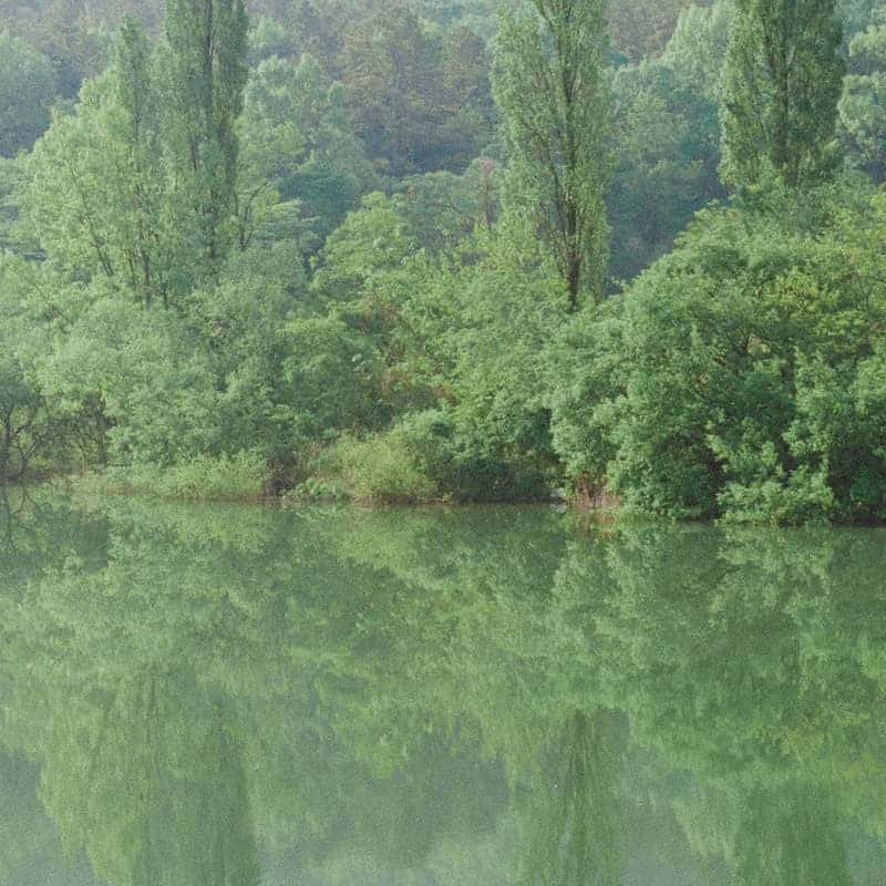 [칠곡/당일] 웰니스리트릿 ㅣ 아로마 싱잉볼명상 + 한입한쌈 도시락 + 학요가 🦩🪭 사진 7