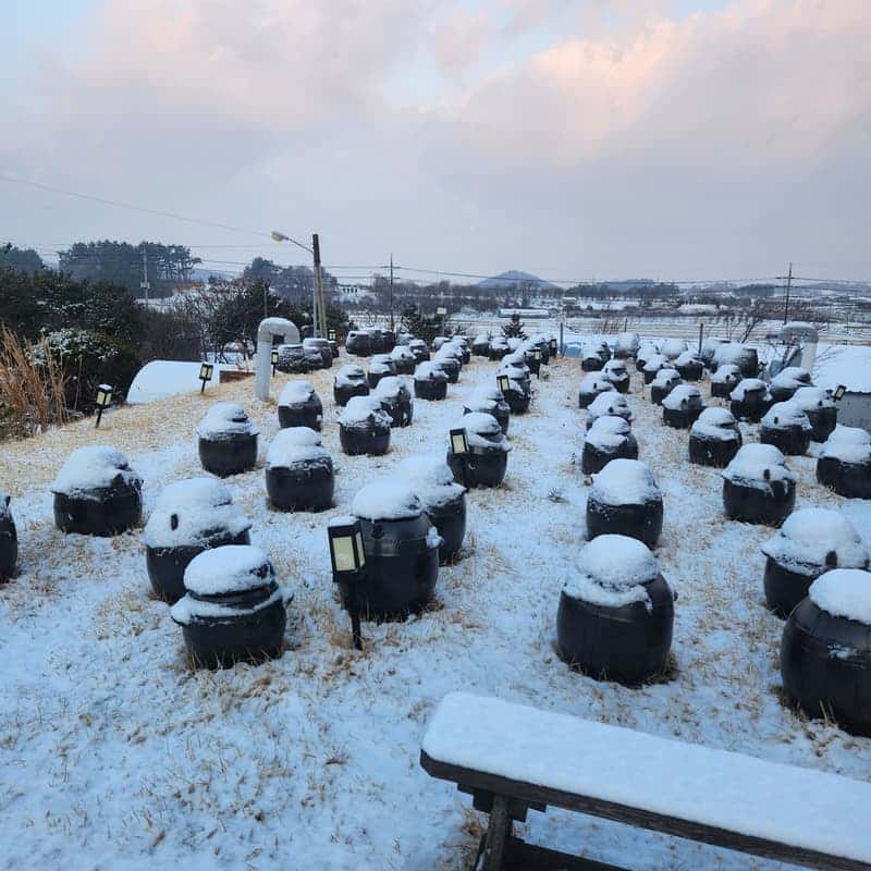 [고창/1박] 토굴발효농장 ㅣ 전통발효밥상 + 복분자코디얼체험 + 신축숙소 🍶 사진 2