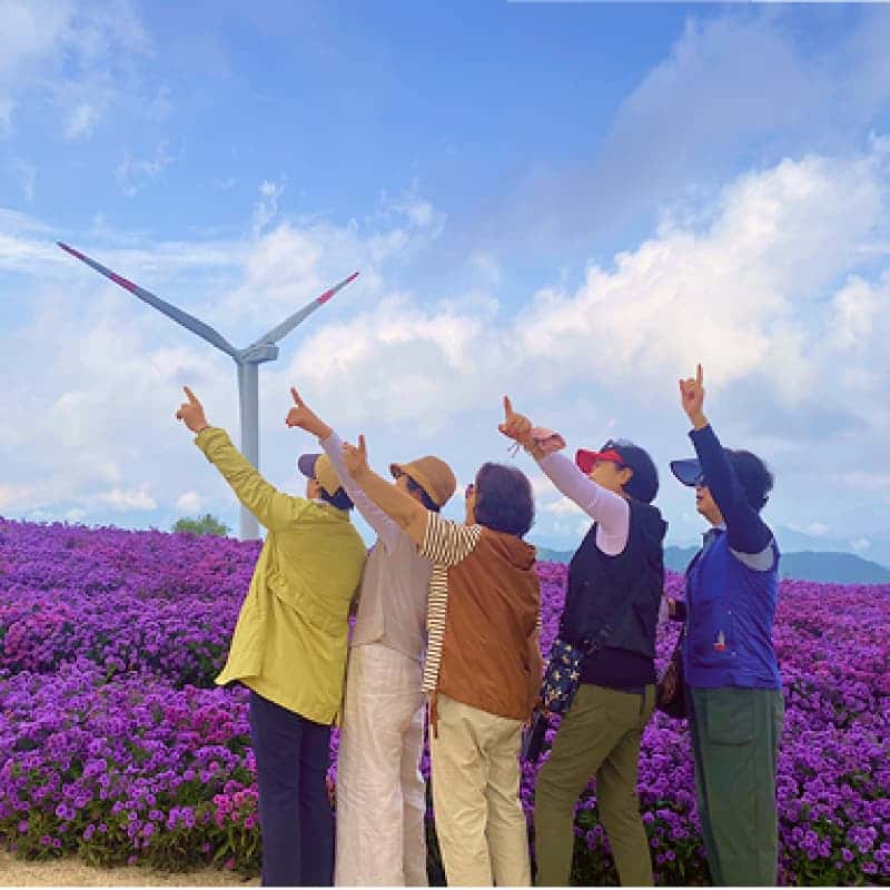 [거창/1박] 봄에 머무는 🌷꽃길투어🌷 신비한 웰니스 거창 패키지여행 사진 5