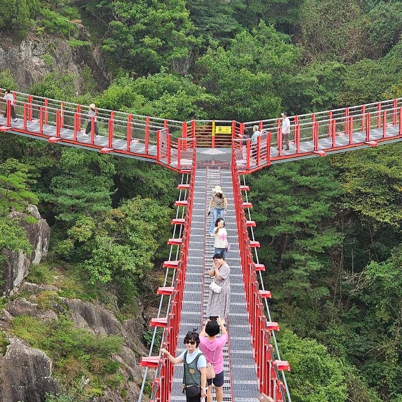[거창/1박] 봄에 머무는 🌷꽃길투어🌷 신비한 웰니스 거창 패키지여행 사진 8