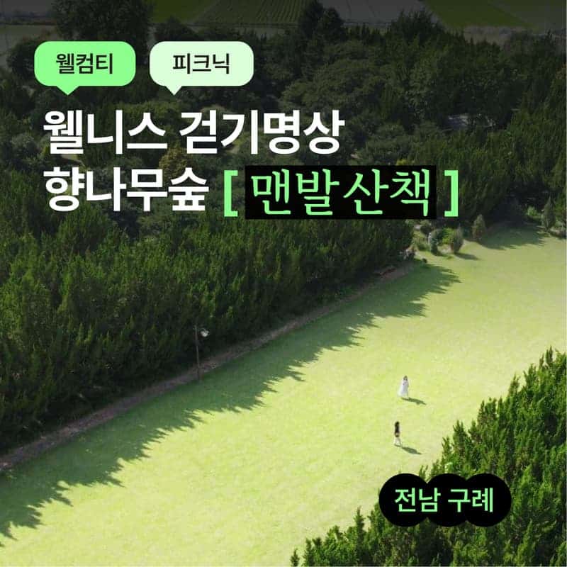 [구례/1박] 지리산 풍경, 향나무숲정원+걷기명상+식사1끼🌲