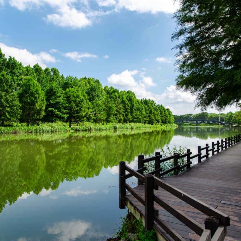 [담양/1박] 대숲마실 담양 패키지여행 ㅣ 죽녹원+메타세콰이아+남도미식🎋 사진 4