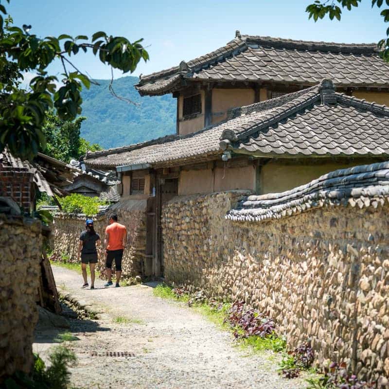 [담양/1박] 대숲마실 담양 패키지여행 ㅣ 죽녹원+메타세콰이아+남도미식🎋 사진 6