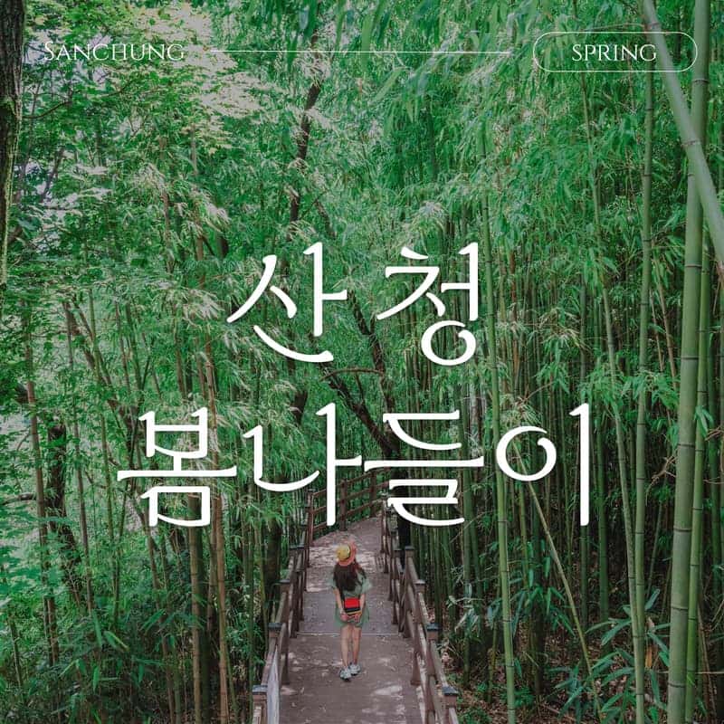 [산청/당일] 따스한 봄날에 떠나는 산청 가정의달 봄나들이💐