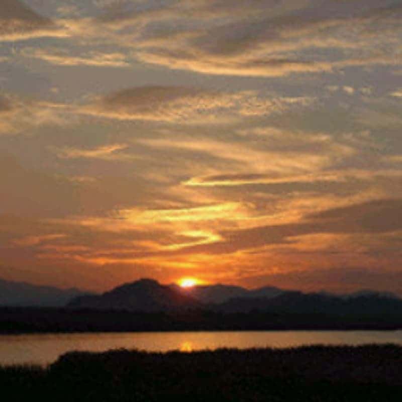 [해남/1박] 땅끝 숲으로 떠나는  육감 힐링 여행🧘🏻‍♀️ 사진 8