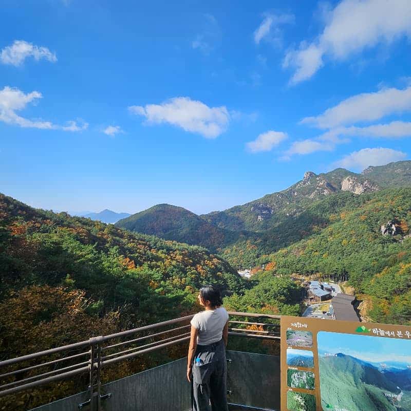 [거창/1박] 자연 속 싱잉볼+요가+차명상+건강식 - 로컬 웰니스 리트릿 🧘🏻‍♀️ 사진 6