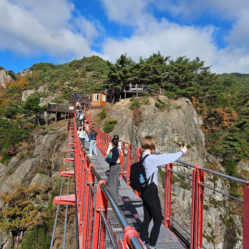 [거창/1박] 자연 속 싱잉볼+요가+차명상+건강식 - 로컬 웰니스 리트릿 🧘🏻‍♀️ 사진 7
