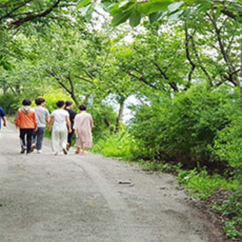 [전주/1박] 깨진 마음을 금빛으로, 킨츠기 치유 스테이🌟(식사 두 끼 포함) 사진 4