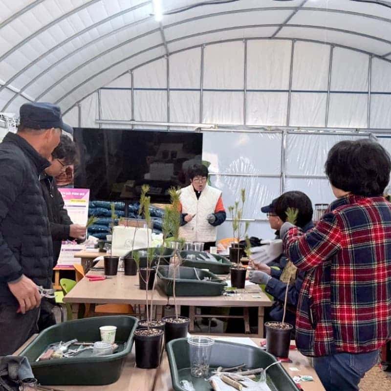 [담양/15시] 담양치유정원담빛ㅣ자연 치유 시간, 테라리움·반려식물·원예체험🧑🏻‍🌾 사진 2