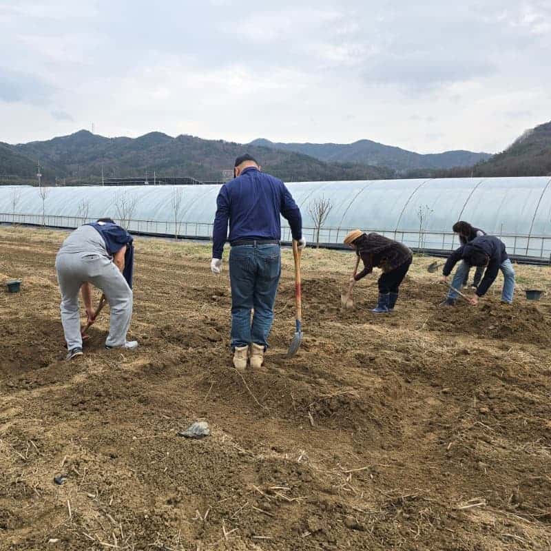 [담양/15시] 담양치유정원담빛ㅣ자연 치유 시간, 테라리움·반려식물·원예체험🧑🏻‍🌾 사진 6