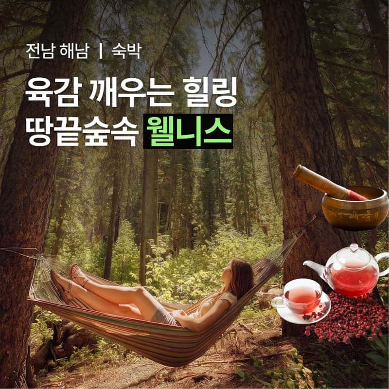 [해남/1박] 땅끝 숲으로 떠나는  육감 힐링 여행🧘🏻‍♀️
