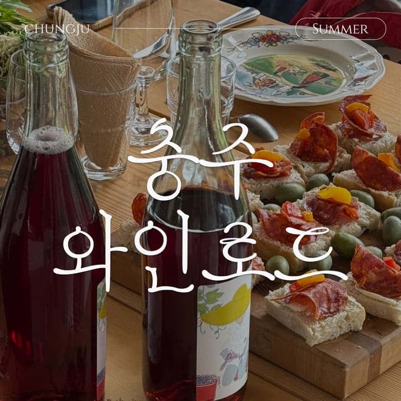 [충주/당일] 한국의 프랑스에서, 충주 미식 패키지🍷ㅣ수룡폭포+와인테이스팅+페어링디너