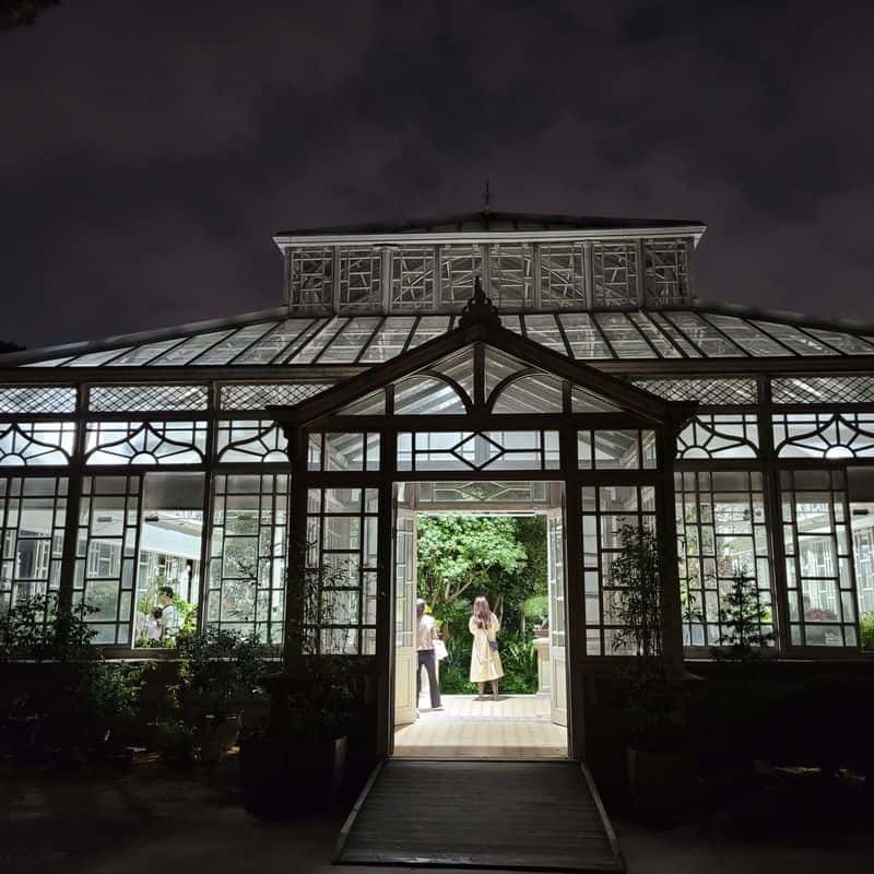 [종로] 창경궁, 대온실 야간개장과 인생샷 사진 7