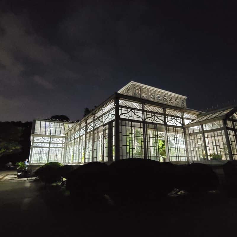 [종로] 창경궁, 대온실 야간개장과 인생샷 사진 8