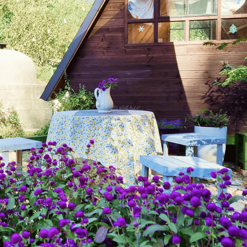 [청양] 오직 하루 한팀, 베이킹+화덕바베큐+불멍