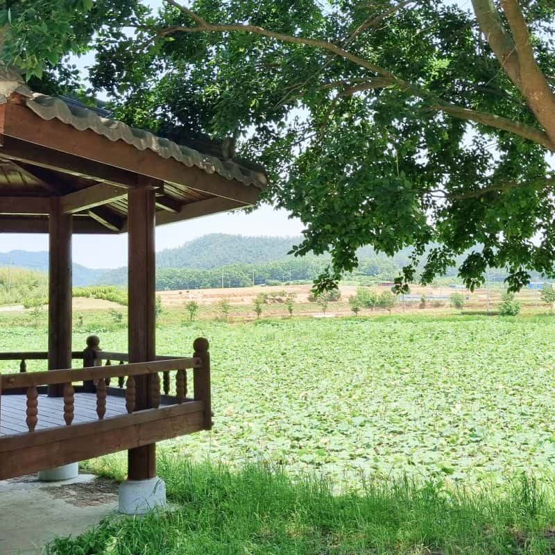 [함평/1박] 도예공방 여행 ㅣ 물레체험+식사2끼+독채 숙박 🏺 사진 8