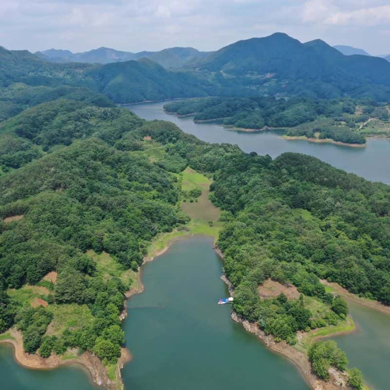 [옥천] 그물 던지고 텃밭 가꾸는 날~ 자연속으로 사진 2