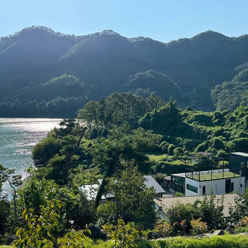 [옥천] 그물 던지고 텃밭 가꾸는 날~ 자연속으로 사진 3