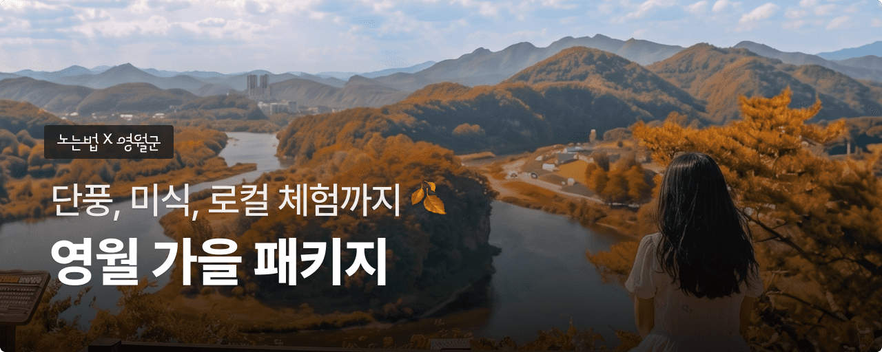 영월 가을 패키지여행 모음전