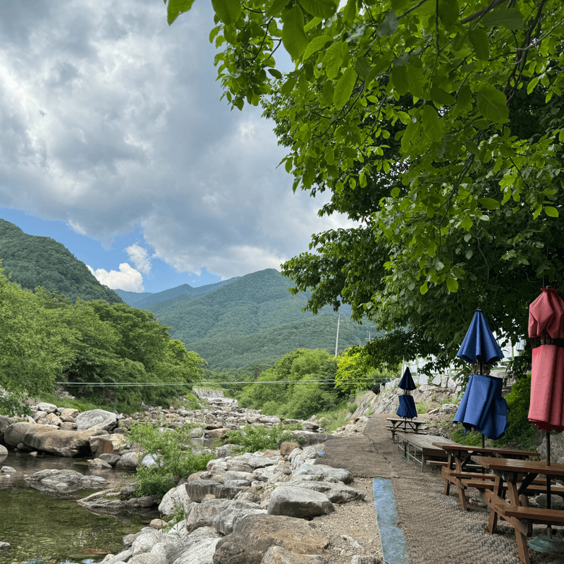 [거창/당일] 빙기실마을 & 계곡에서 즐기는 피서여행 🏝️ 수승대+백숙+깡통열차+족욕 사진 4
